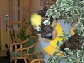 Zodiacon 2012 198.jpg
